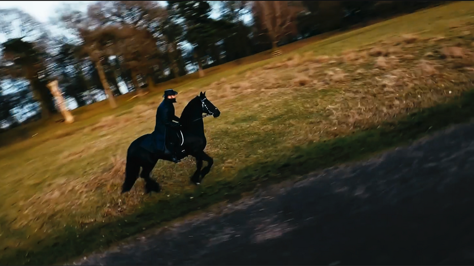 #197 - Dark Horse